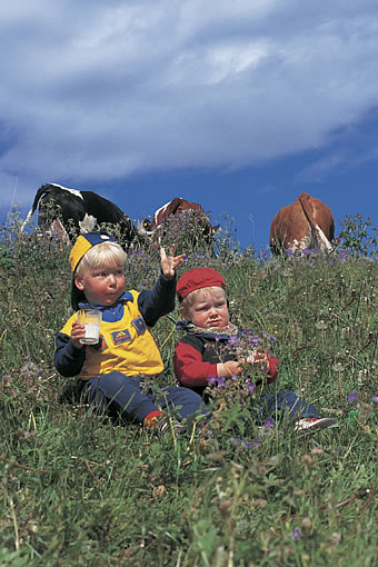 Norwegische Kinder auf Weide